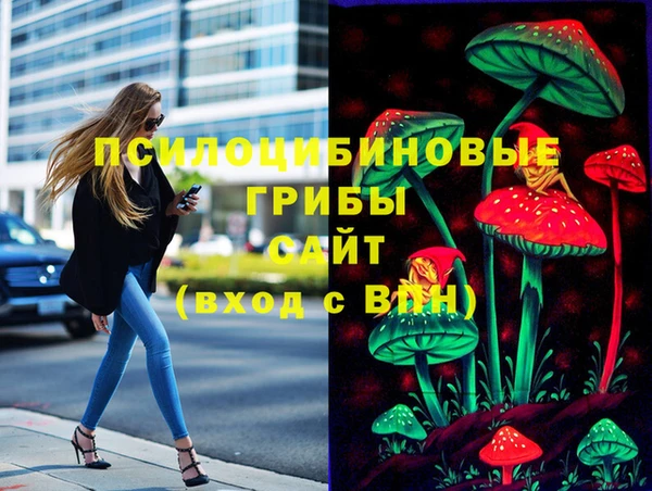 дурь Арсеньев