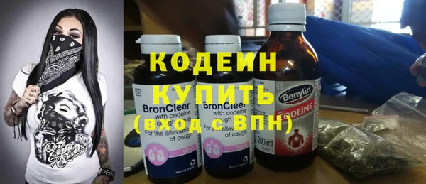 дурь Арсеньев
