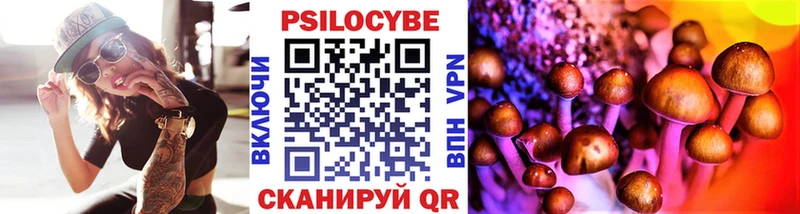 купить закладку  Артёмовск  Галлюциногенные грибы Cubensis 